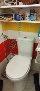 Photo de galerie - Remplacement de WC