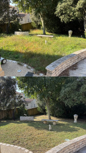 Photo de galerie - Entretien extérieur