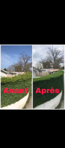 Photo de galerie - Taille de haie avant après
