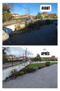 Photo de galerie - Taille d'arbustes 