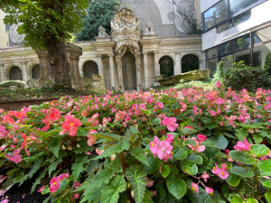 Photo de galerie - Création de massif