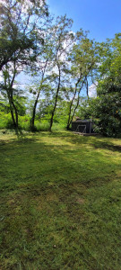 Photo de galerie - Tonte de pelouse - Débroussaillage