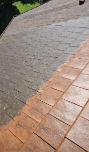 Photo de galerie - Couverture - Toiture