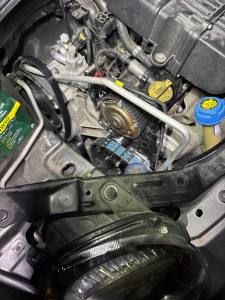 Photo de galerie - Distribution 