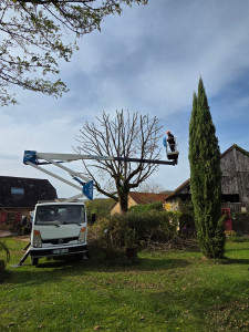 Photo de galerie - Élagage et abattage d'arbres – Travail soigné et sécurisé
Besoin d'un professionnel pour l'élagage ou l'abattage de vos arbres ? Nous intervenons avec le matériel adapté pour réaliser un travail propre, rapide et en toute sécurité.
✅ Élagage ✅ Abattage ✅ 