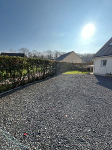 Photo de galerie - Taille d’une haie de photinia