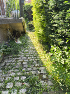 Photo de galerie - AVANT