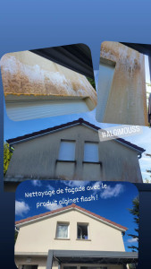 Photo de galerie - Nettoyage de façade 