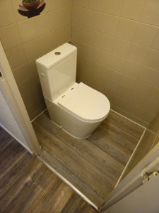 Photo de galerie - Réalisation d'un changement de WC et pose parquet stratifié pvc 