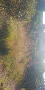 Photo de galerie - .
