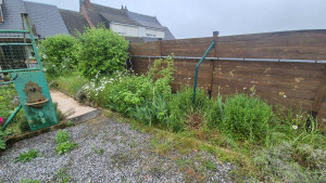 Photo de galerie - Paysagiste - Aménagement du jardin
