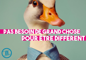 Photo de galerie - Graphisme - Création flyer - plaquette 