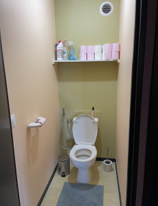 Photo de galerie - Peinture toilette finie