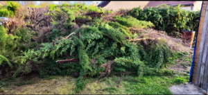 Photo de galerie - Évacuation déchets - Gravats