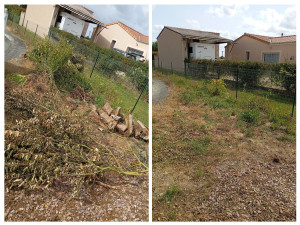 Photo de galerie - évacuation déchet vert,gravat