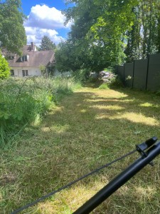 Photo de galerie - Tonte de pelouse - Débroussaillage