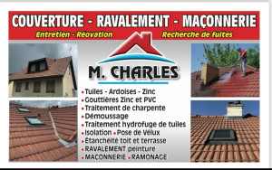 Photo de galerie - Bonjour je propose mes services pour une prestation de nettoyage de toiture 