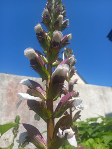 Photo de galerie - Ménage