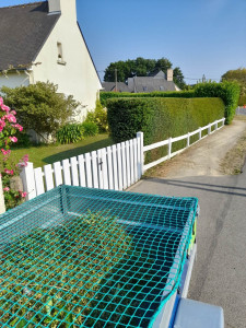 Photo de galerie - Taille de haies et d'arbustes