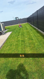 Photo de galerie - Tonte de pelouse