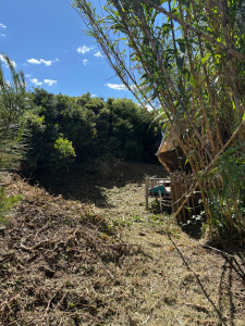 Photo de galerie - Débroussaillage Forestier