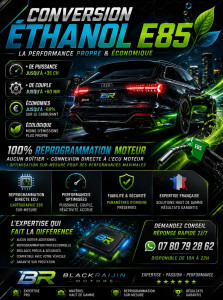 Photo de galerie - Reprogrammation moteur sur mesure
Calibration parfaite conversion flexfuel
