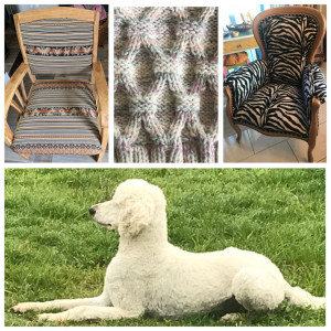 Photo de galerie - J’aime redonner vie à de vieux meubles, j’aime aussi tricoter et crocheter et je vous présente mon chien , j’ai aussi un immense amour des animaux quels qu’ils soient, et je me propose aussi de vous les garder.