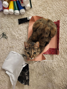 Photo de galerie - .