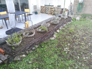 Photo de galerie - Massif de plantes aromatiques