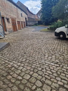 Photo de galerie - Tonte de pelouse - Débroussaillage