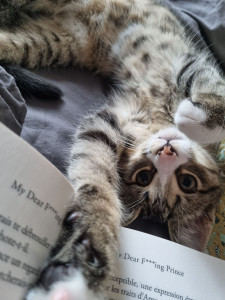 Photo de galerie - Garde d'animaux 