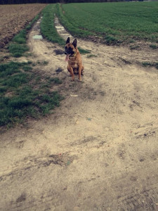 Photo de galerie - Zef