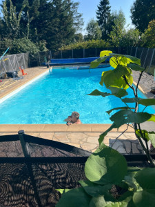 Photo de galerie - Je peut faire mise en route piscine, je peut faire nettoyage piscine 