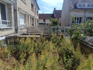 Photo de galerie - Nettoyage cour : AVANT