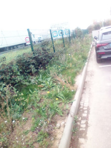 Photo de galerie - Paysagiste - Aménagement du jardin