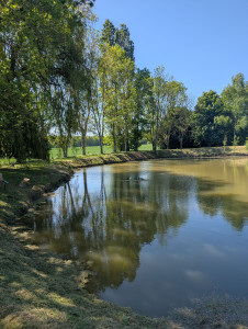 Photo de galerie - Entretien tour d'étangs.