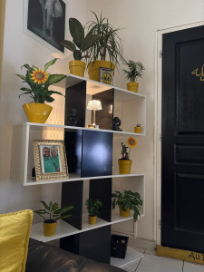 Photo de galerie - J’aime le ménage bien fait et la décoration 