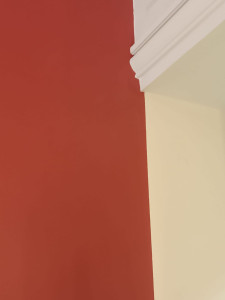 Photo de galerie - Peinture couleur 