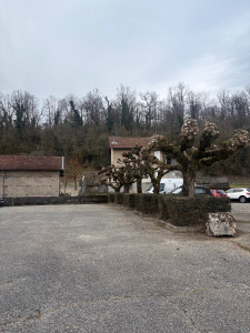 Photo de galerie - Elagage et coupe d'arbres
