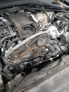 Photo de galerie - Kit distribution pompe a eau 
alfa Roméo giulia 2.2 diesel 