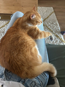 Photo de galerie - -