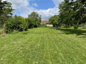 Photo de galerie - Tonte et désherbage