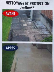 Photo de galerie - Démoussage et nettoyage de dallas