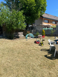 Photo de galerie - Après l’effort le réconfort.