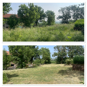 Photo de galerie - Débroussaillage 500m2