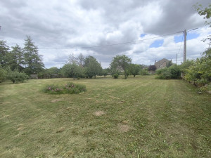 Photo de galerie - Tonte de pelouse - Débroussaillage