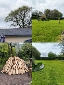 Photo de galerie - Entretien de vos jardins 