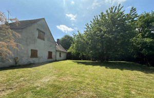 Photo de galerie - Tonte de pelouse 