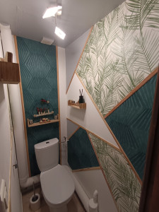 Photo de galerie - Rafraîchissement d un wc papier peint, peinture,lustre +wc neuf 
