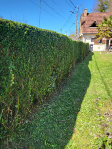 Photo de galerie - Après intervention 